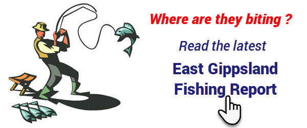 Read the latest East Gippsland Fishing Report